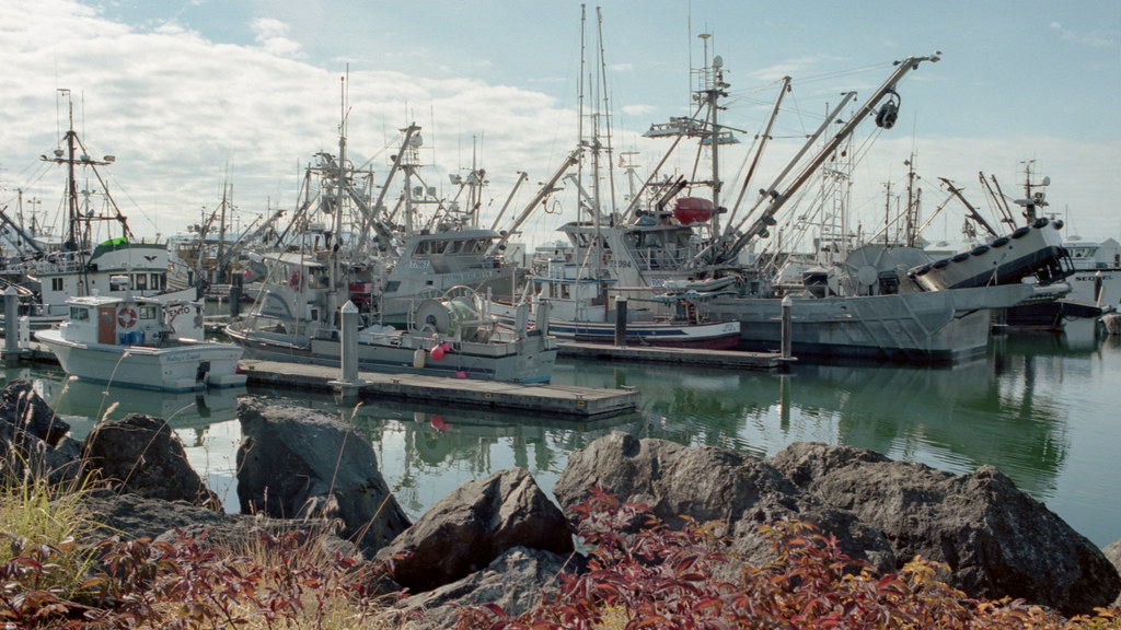 Commercial Fishing Boats Bellingham Nikon F Photomic 35m… Flickr