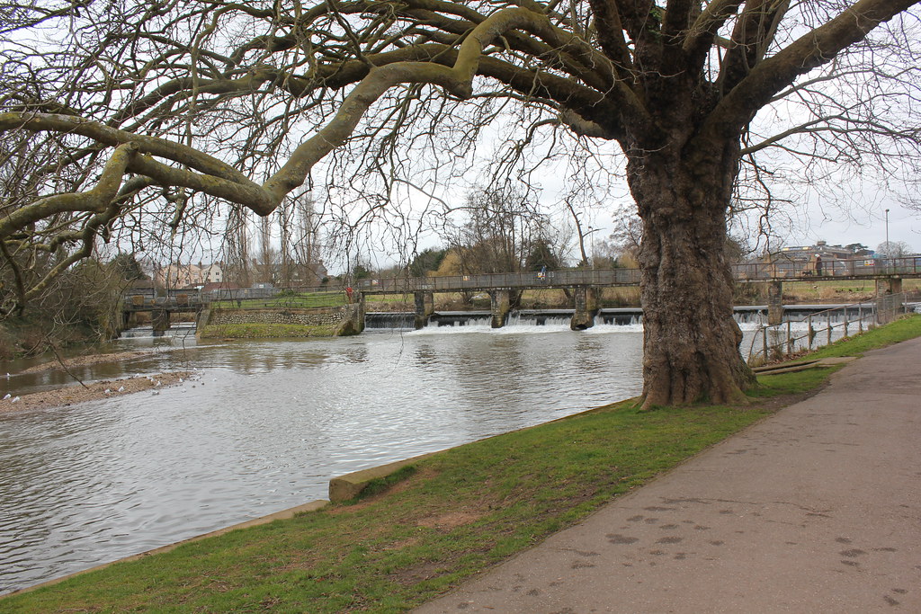 Taunton 043 Taunton French Weir Woo! that tree has sure … Flickr