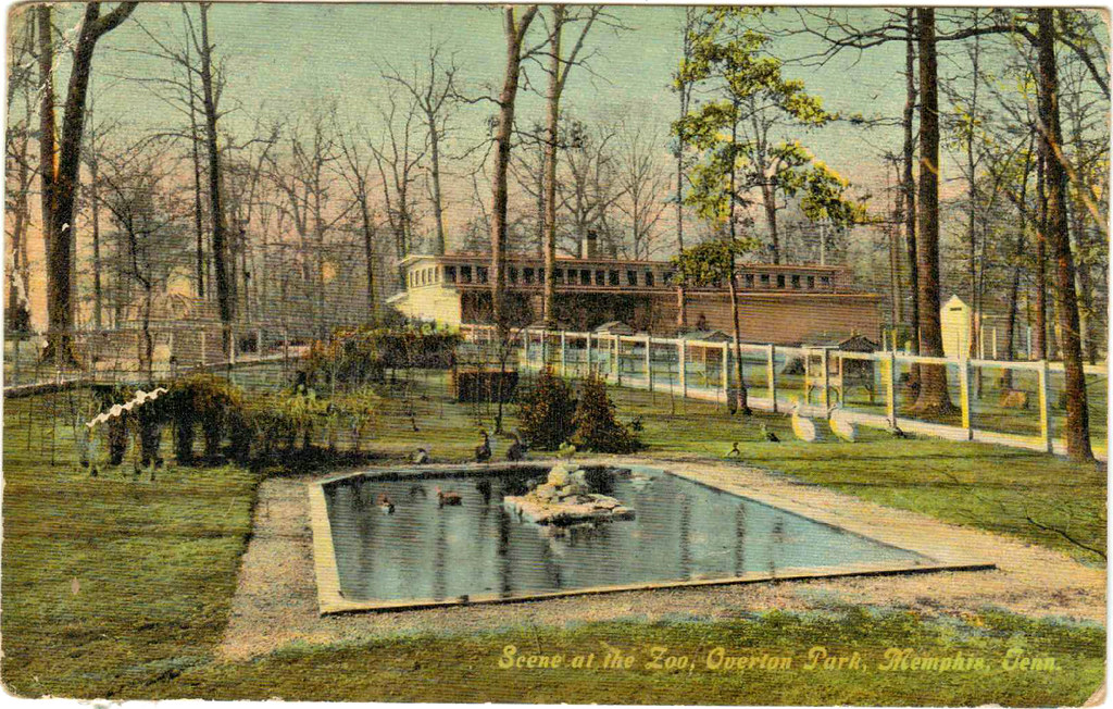 Scene at the Zoo, Overton Park, Memphis, Tenn. ca. 1910 … Flickr