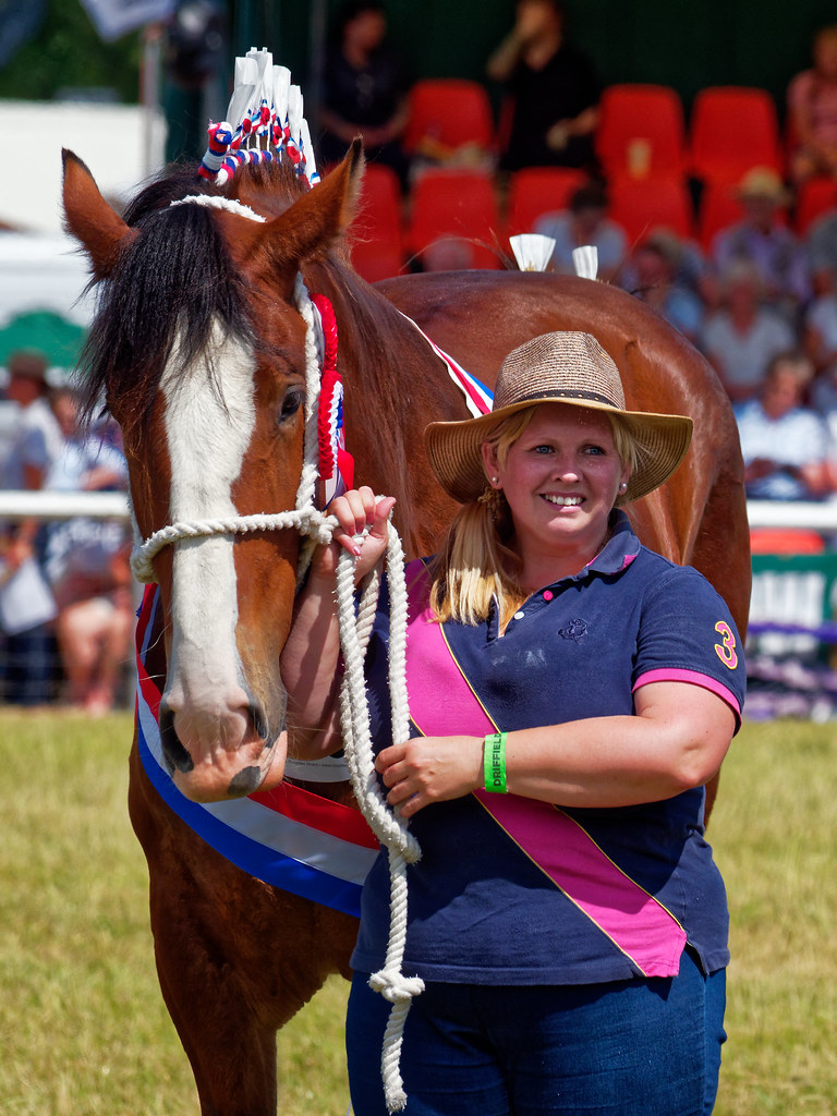 Heavy Horse Class Driffield Show 2018 Scott Winning Flickr