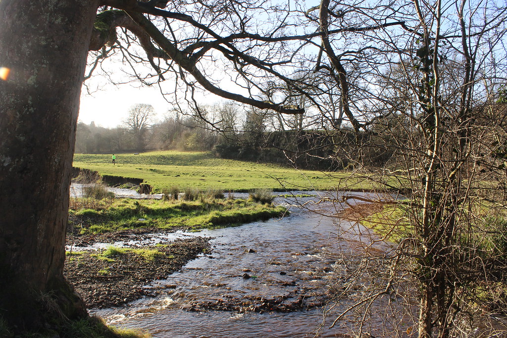 IMG_0307 CoedyGlyn Wood, Wrexham Rebeccawithers Flickr