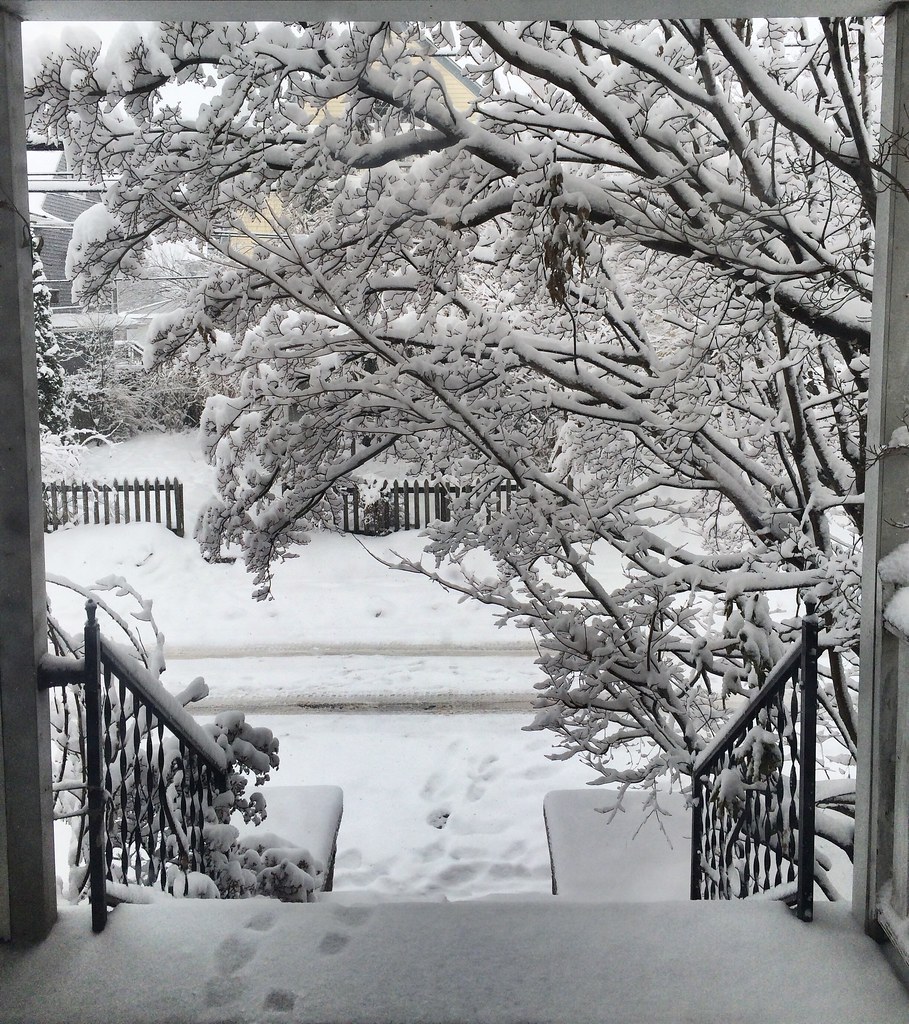 Snow day in Lansdowne, Delco lansdowne Sherry Nelson Flickr
