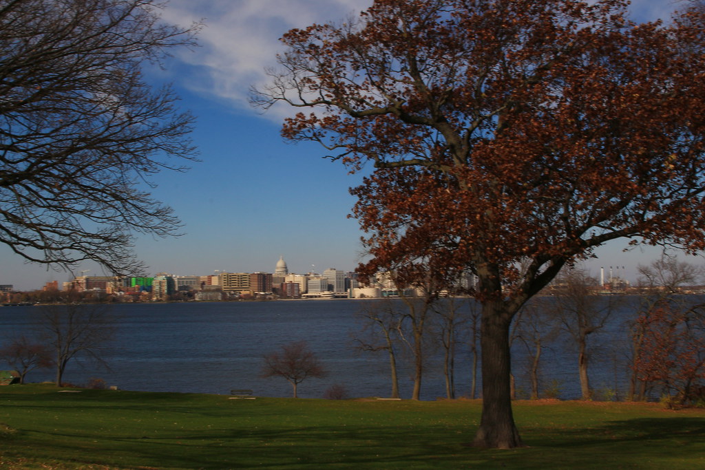 OLIN PARKMadison WI110420140004 Brian Allen Flickr