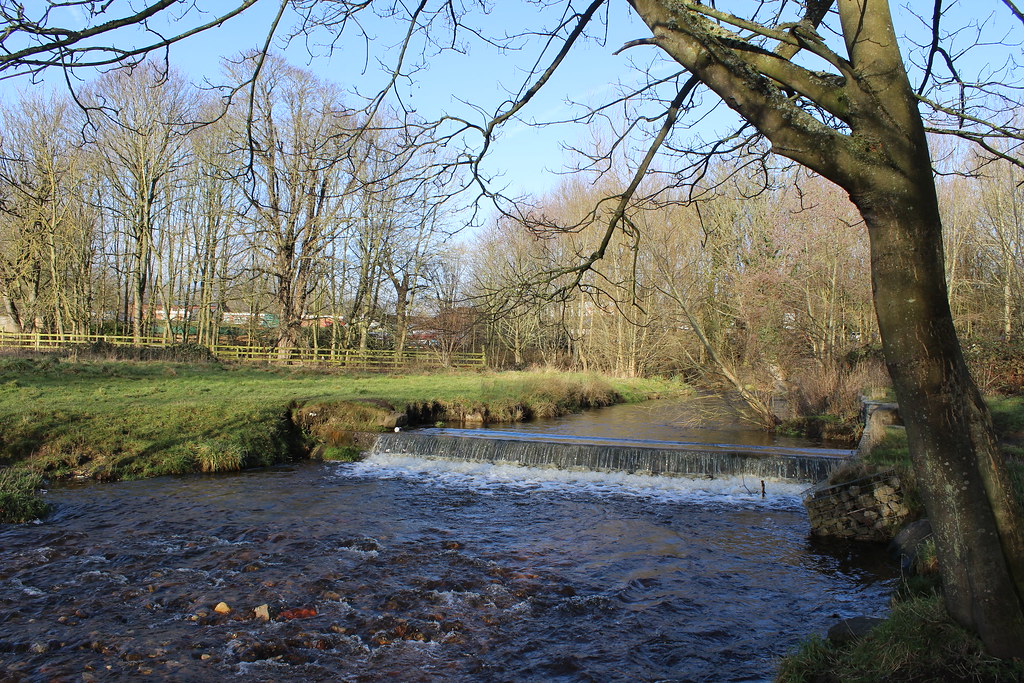 IMG_0316 CoedyGlyn Wood, Wrexham Rebeccawithers Flickr