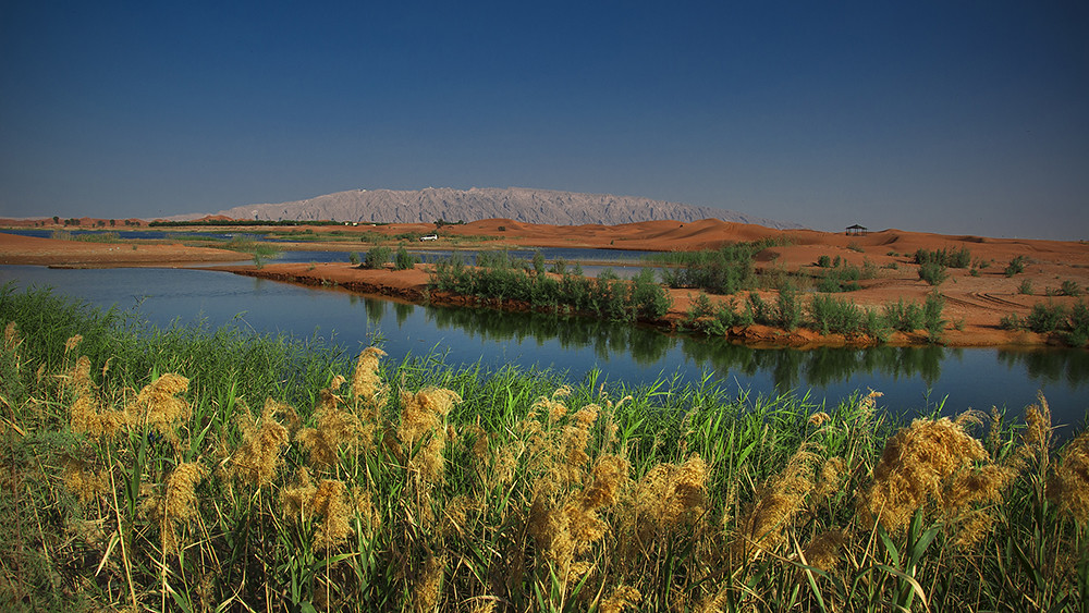Zakher Lake, Al Ain, Abu Dhabi At the end of the winter th… Flickr