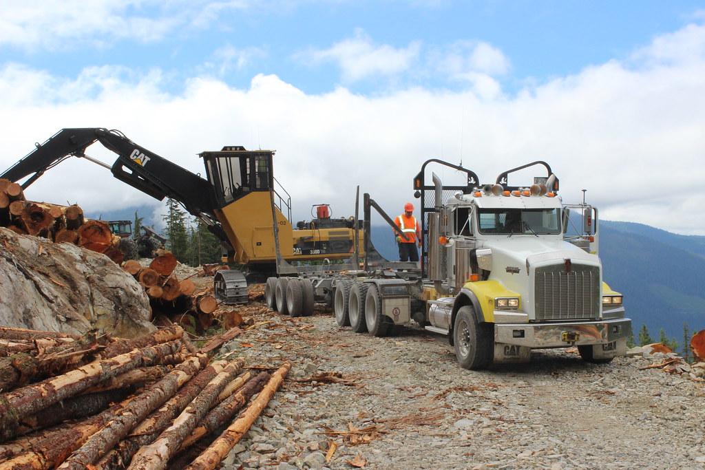 IMG_4700 Powell River McKamey 2016 Brenda Martin Flickr