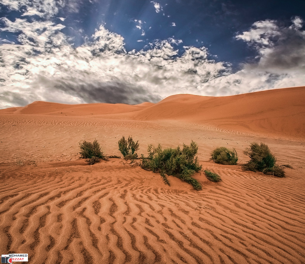 desert 6 من صحارى المملكه العربيه السعوديه Mohammed