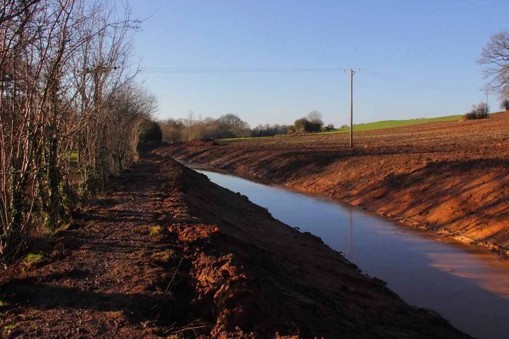 Timsbury 4 magpie patrick Flickr