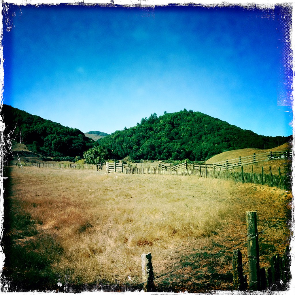 2014 Pony Ranch, Point Reyes Station (68) Paul D Carey Flickr