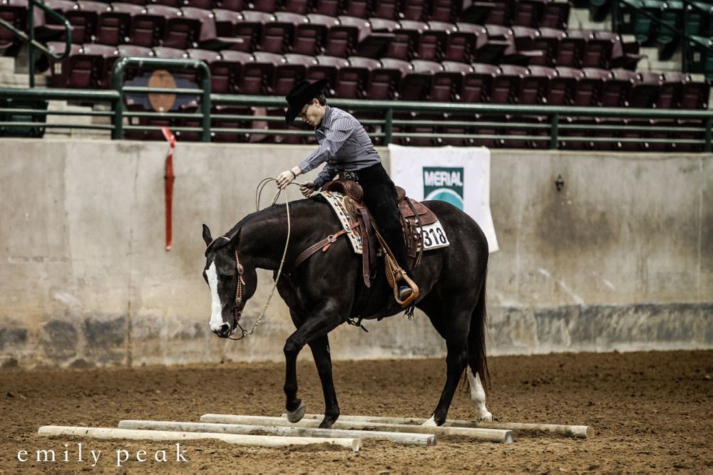 2015 Dixie National Quarter Horse Show Every year, the Dix… Flickr