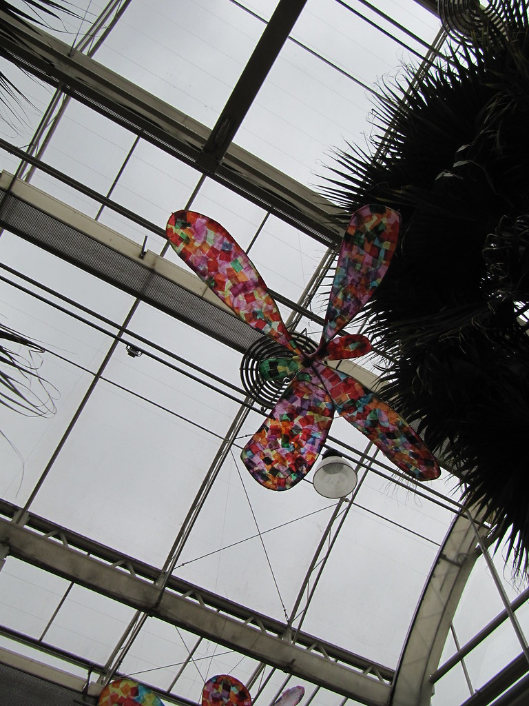 Butterfly mobiles The Butterfly House at Wisley. A late wi… Flickr