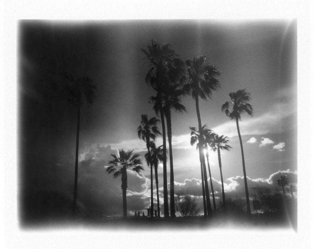 Costco Palm Sunset Polaroid 420 Land Camera Yellow Filter … Flickr