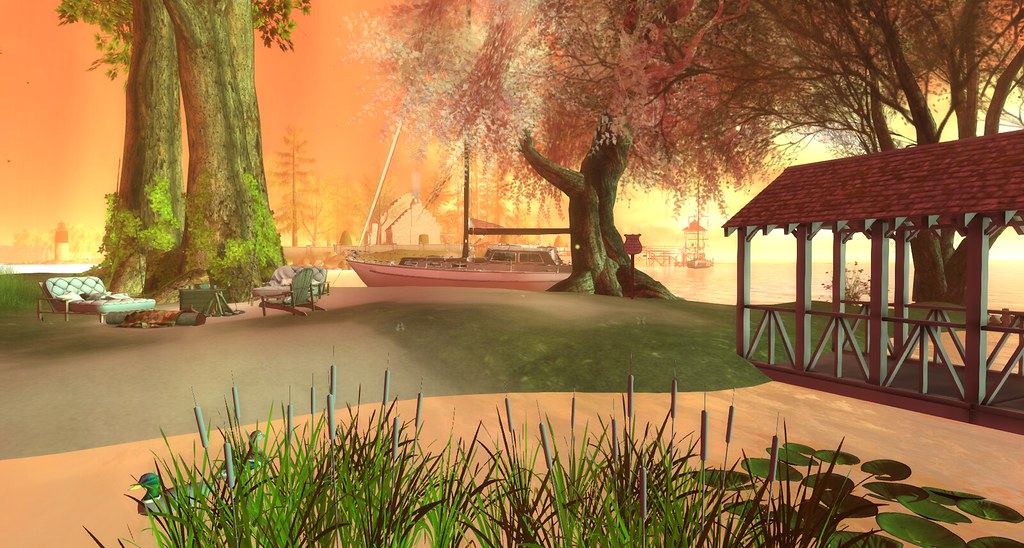 Prides Crossing Gnarled, overgrown, wooded isle in New Eng… Flickr