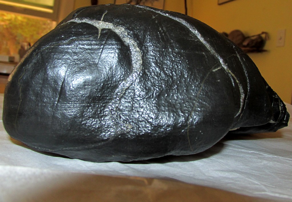 Carbonado Black Diamond Meteorite My specimen weighs 3,902… Flickr