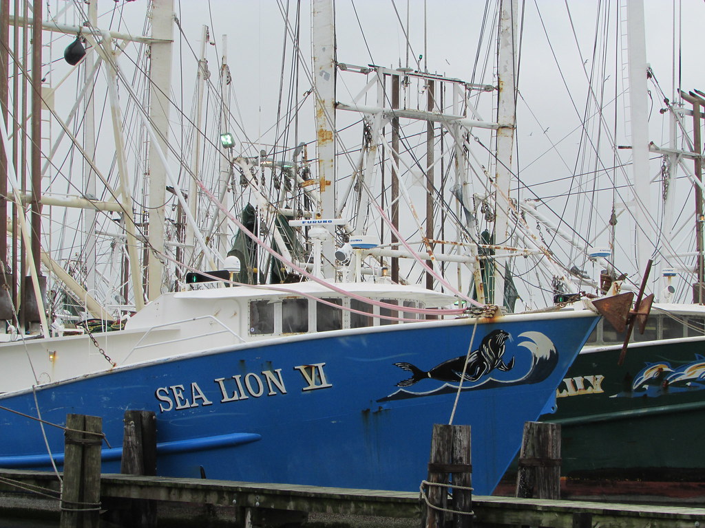 Sea Lion VI Port Fourchon,LA c dag Flickr