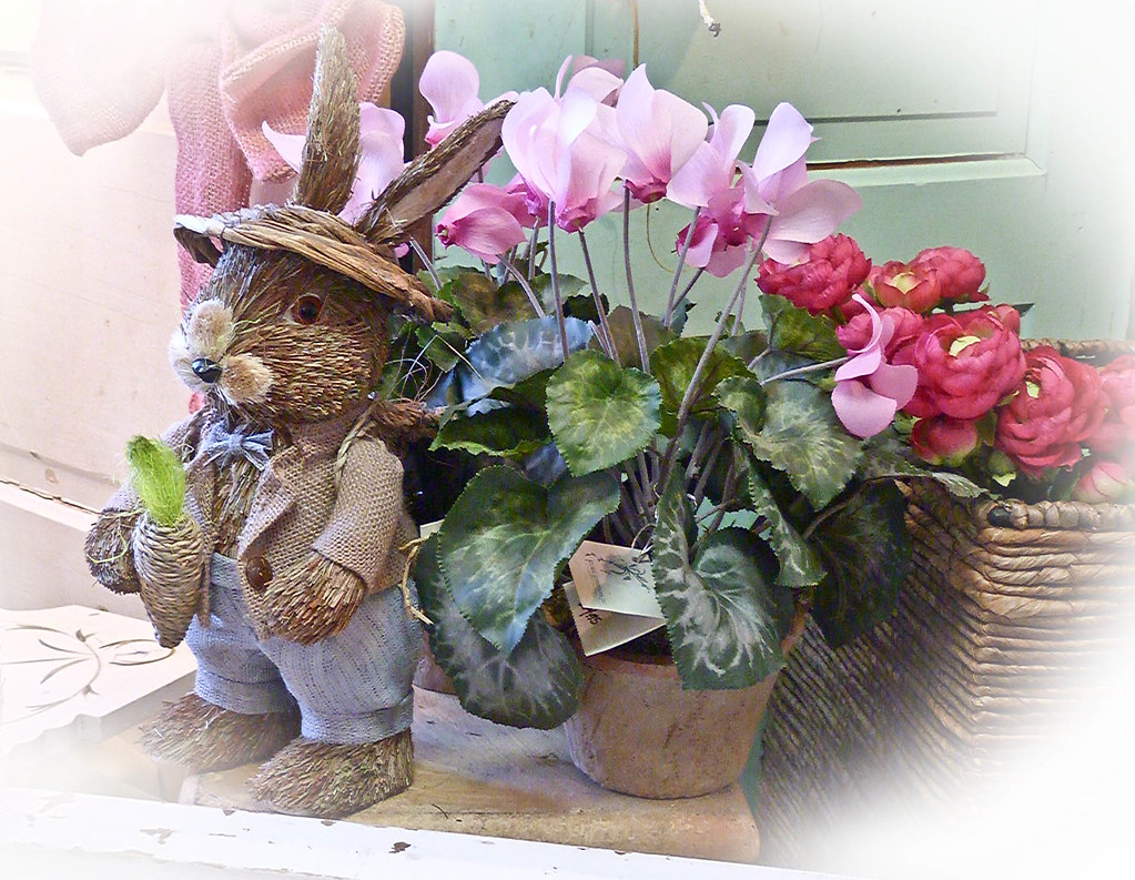 SPRING OPEN HOUSE! Fresh Flowers Shop / Florists in Janesville