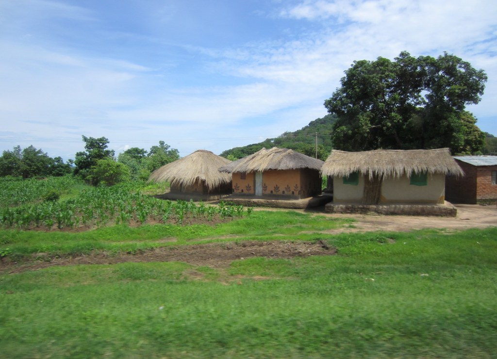 rural Malawi along the LilongweSalima road Abby flatcoat Flickr