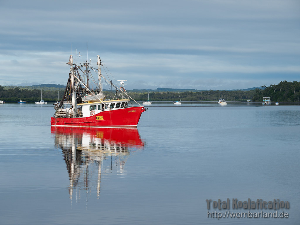 Fishing at Tin Can Bay, Queensland Foto Dieter Bethke b… Flickr