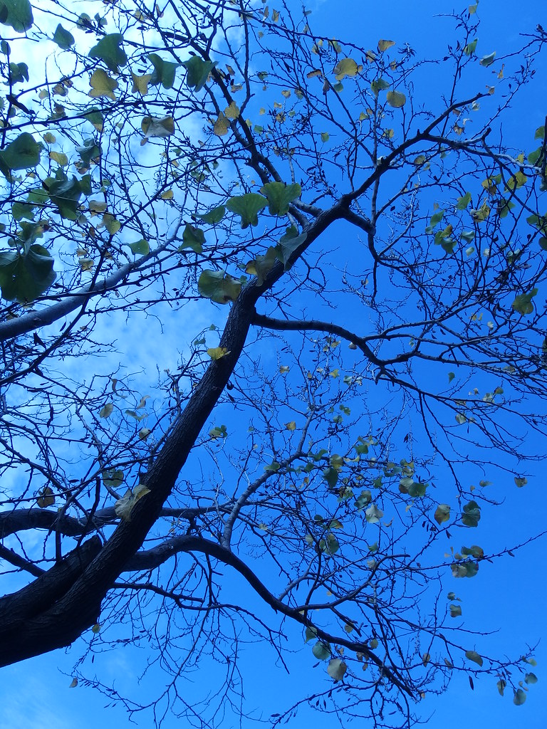 03/12/2014 AF Marseille Sainte Marguerite Dromel Métro Trois cent