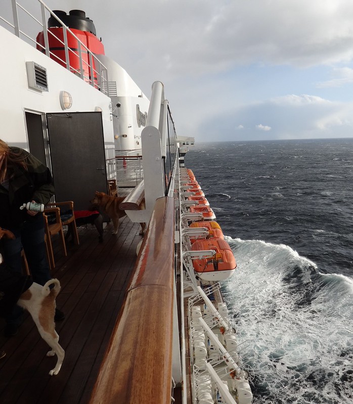 Queen Mary 2 Kennels Flickr