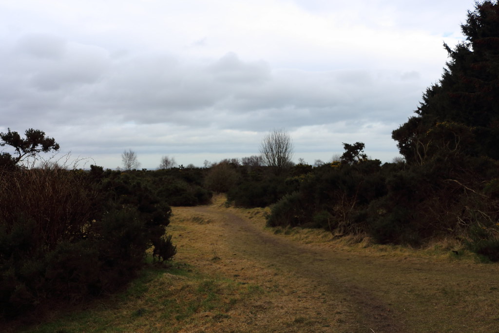Scotstown Moor,Perwinnes Moss,Bridge of Don,Aberdeen Flickr