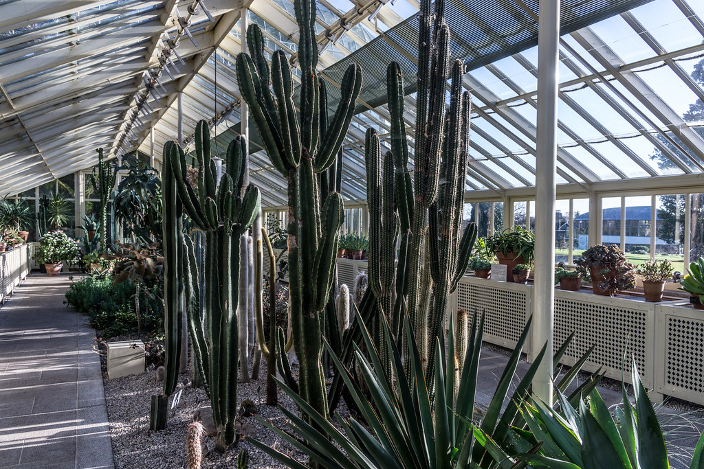 THE CACTUS HOUSE [NOT THE ORIGINAL] IN THE BOTANIC GARDENS… Flickr