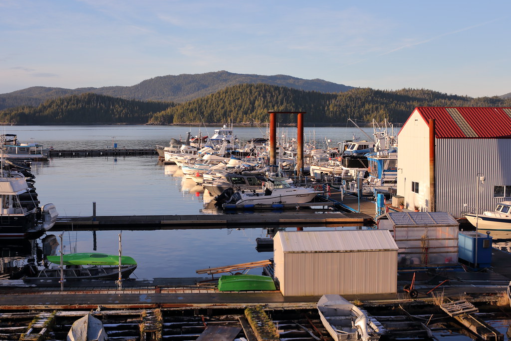 A08P8581Port Edward14.11.16 Port Edward BC Raycatcher Flickr