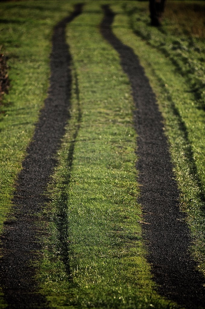 Sauvie Island, December 2014 Suave Island, Dec. 19, 2014. … Flickr