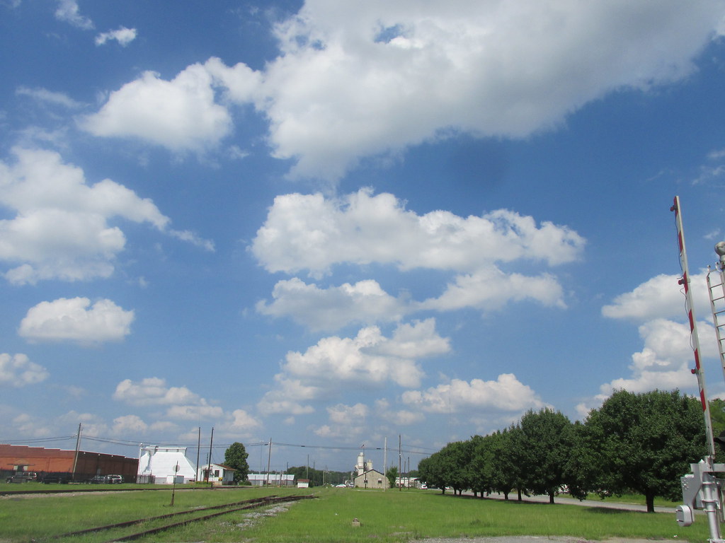 McIntyre, Jamie Middleton Flickr