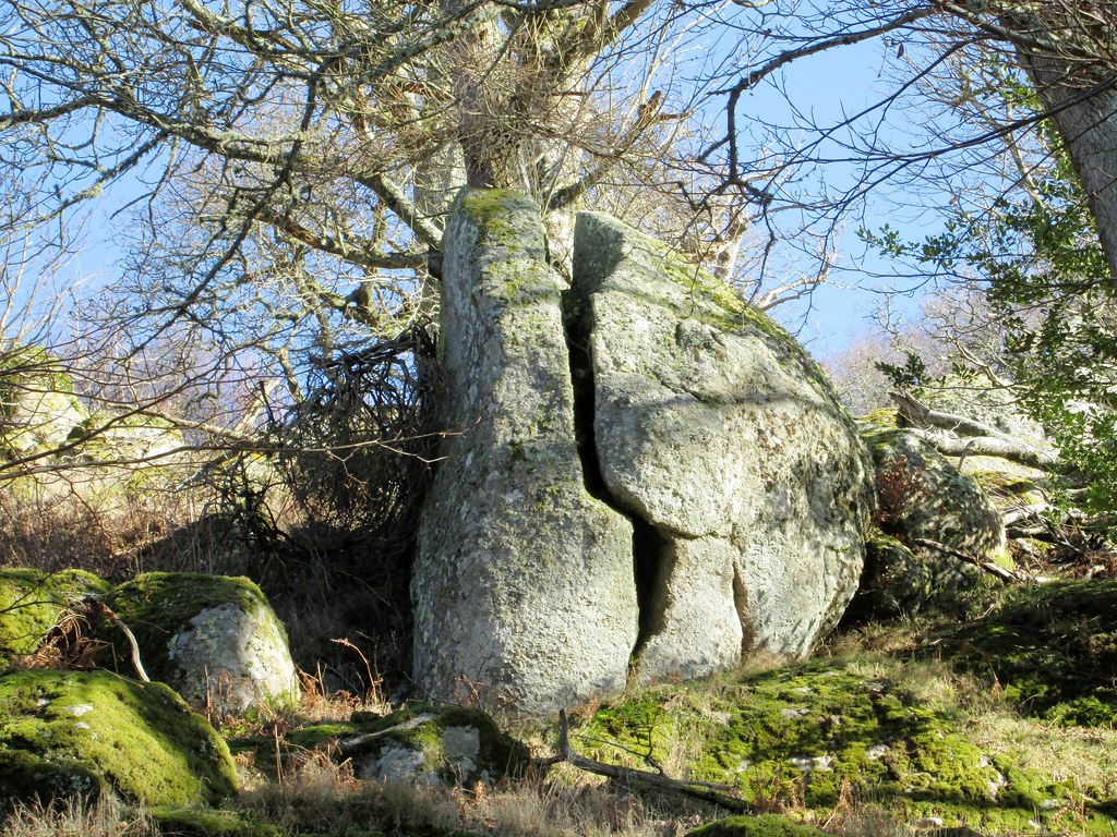 Whiddon Park Split Rock East Dartmoor SX 723894 Fascinatin… Flickr