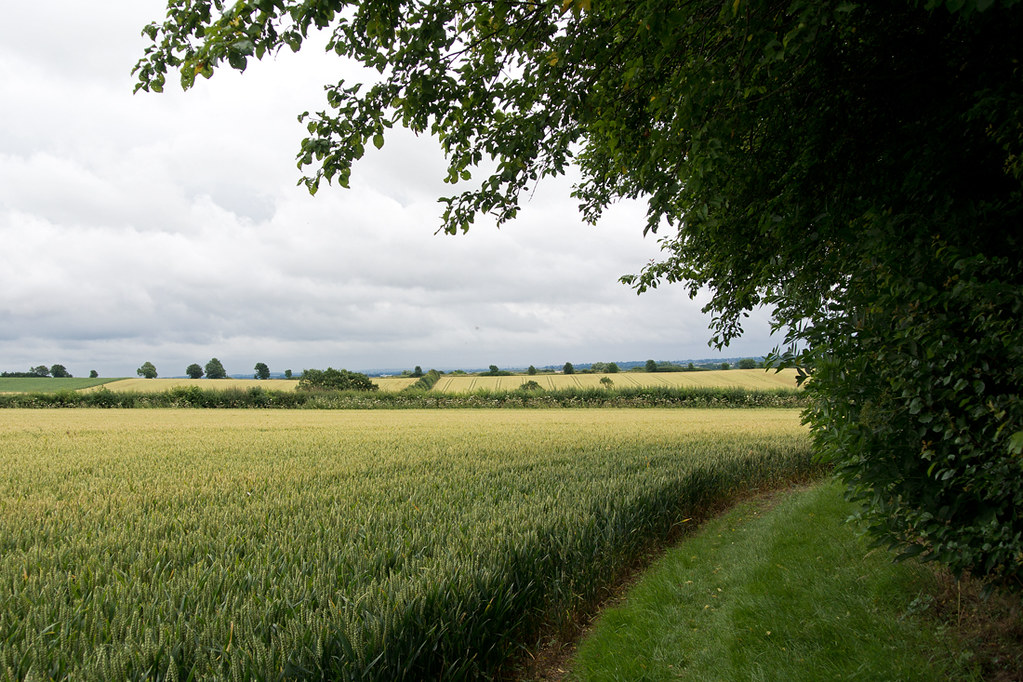 Photos Arlesey to Letchworth Garden City Walk SWC