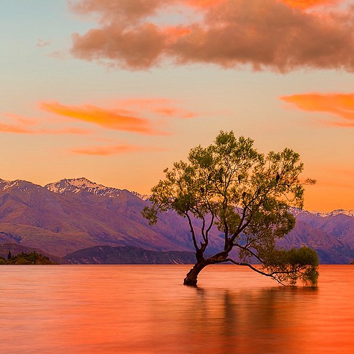 The most photographed tree in newzealand! The 'Lone Tree'… Flickr