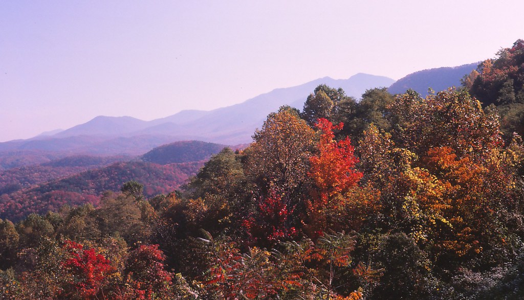fall colors smokies 2023 Fall Colors in the Smokies Smoky Mountains TN Seleusleaf Flickr
