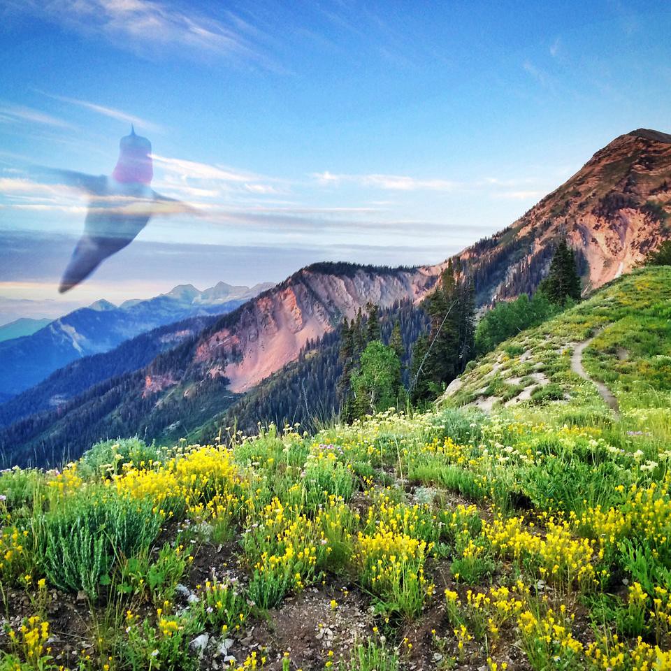 Box Elder Peak Trailrunning, Utah Bridger Harrison Flickr
