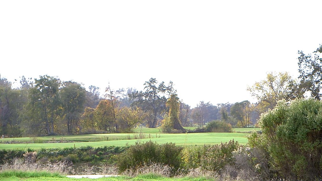 Ione Parks and Building76 Deborah Mackey Flickr