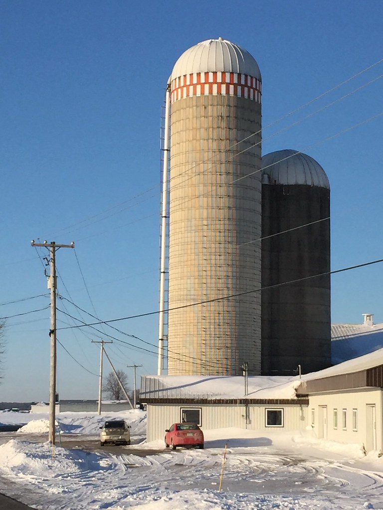 Harfang 20_84 PaysBrûlé_BaieduFebvre Harfang des neig… Flickr