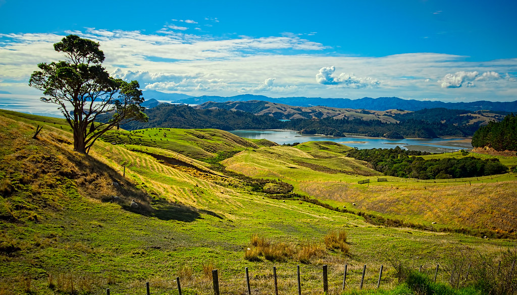 The Shire near Coromandel trevorklatko Flickr