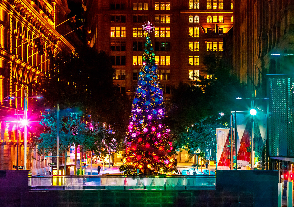 Martin Place Christmas Tree Sydney Seige Eugn Iov Flickr