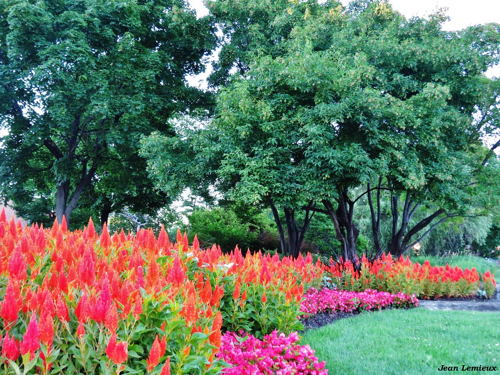 Boulevard Pierrefonds Jardin Richmond Jardin Richmond, B… Flickr