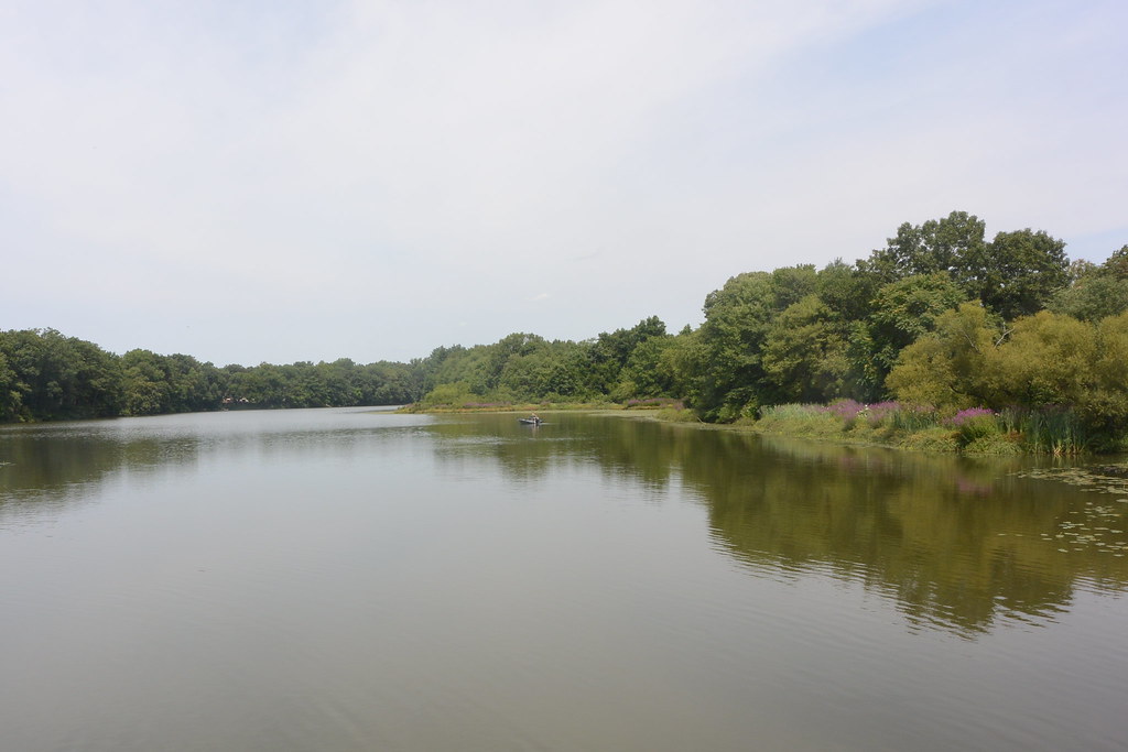 Farrington Lake Farrington Lake looking north from Church … Flickr
