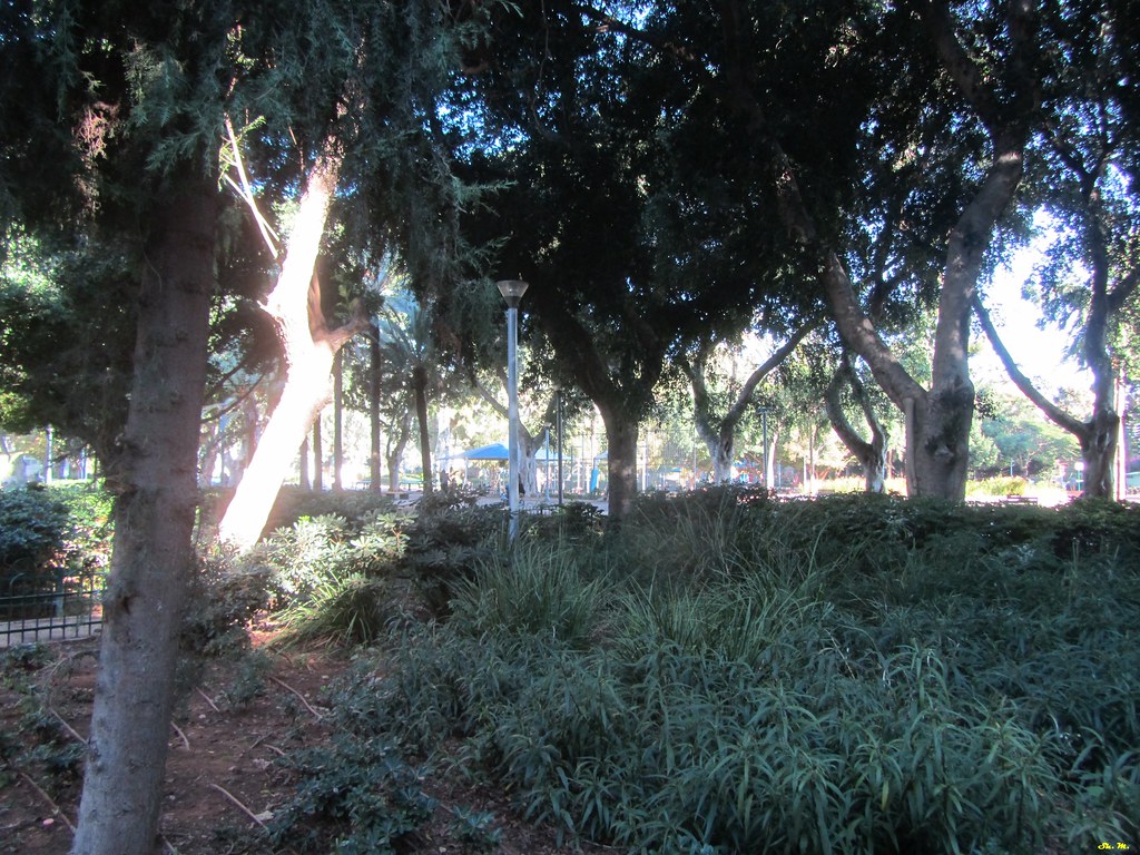 Meir Park Meir Park is a 3 hectares (7.4 acres) public par… Flickr