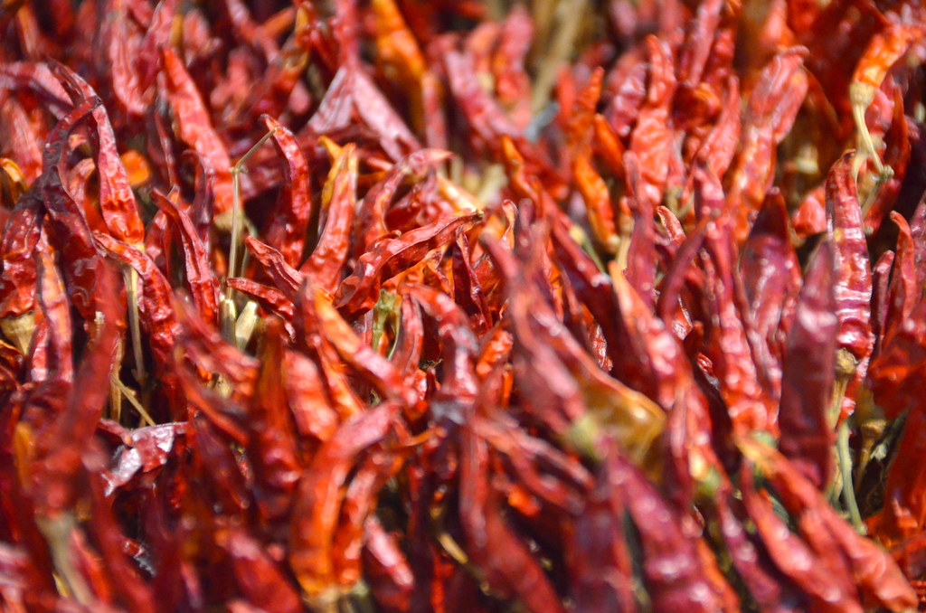 Paprika pepper Dried chili pepper (Capsicum annuum), Great… Flickr