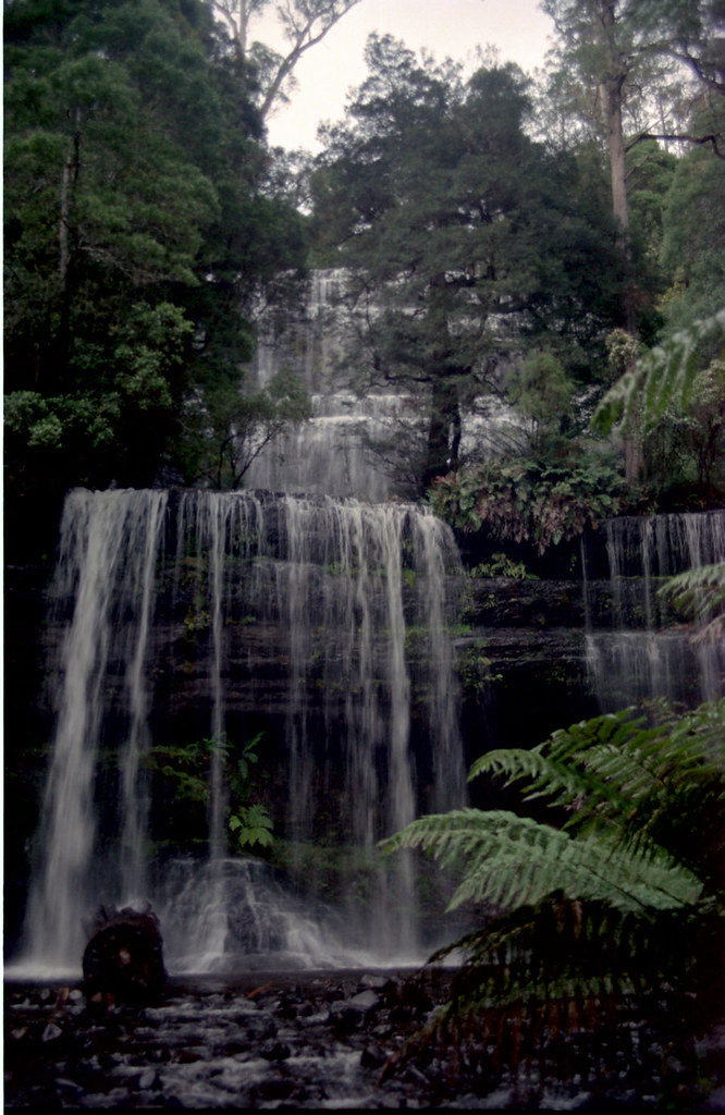 Elevation of Maydena TAS, Australia Topographic Map Altitude Map