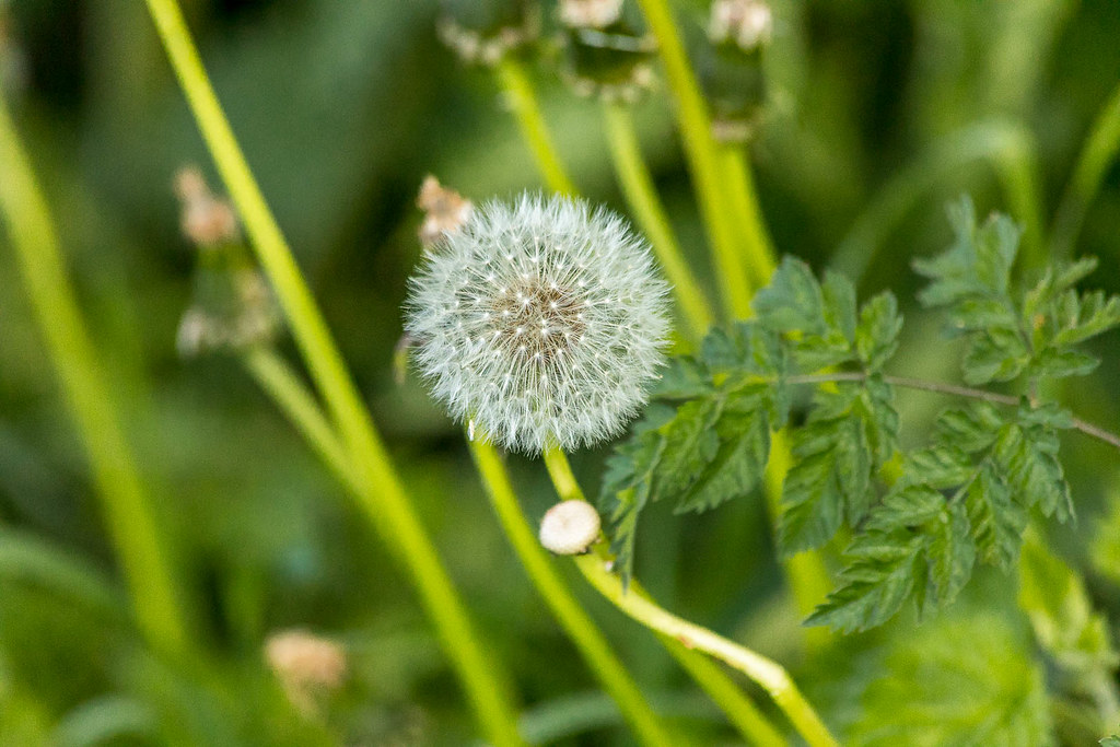 untitled114 Gary Blake Flickr