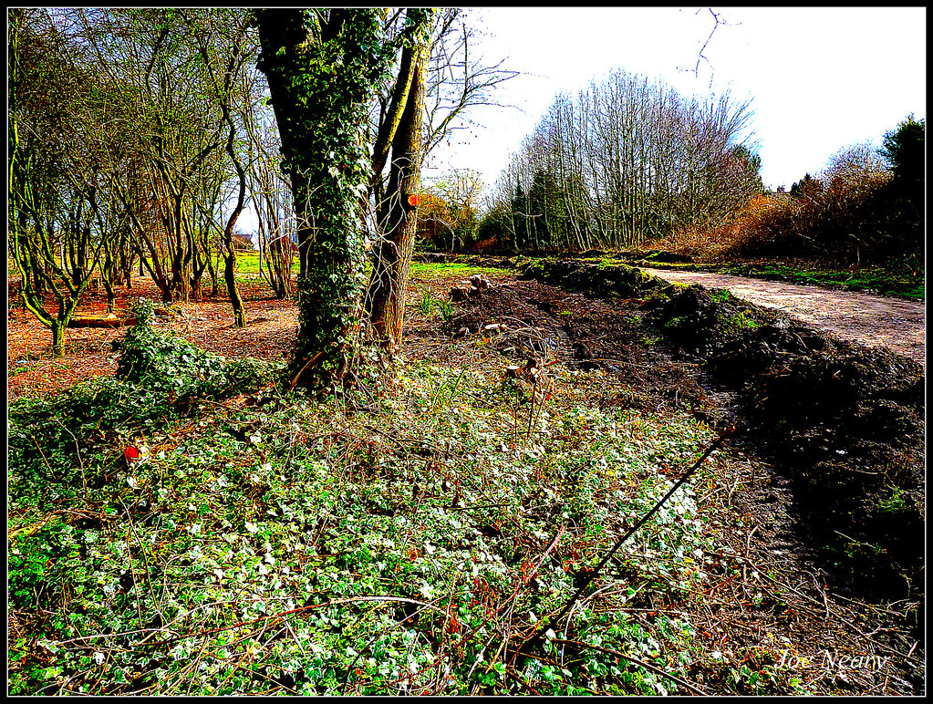 Mill farm Kirkby Mill Farm Tower Hill, Kirkby ,joe neary Flickr