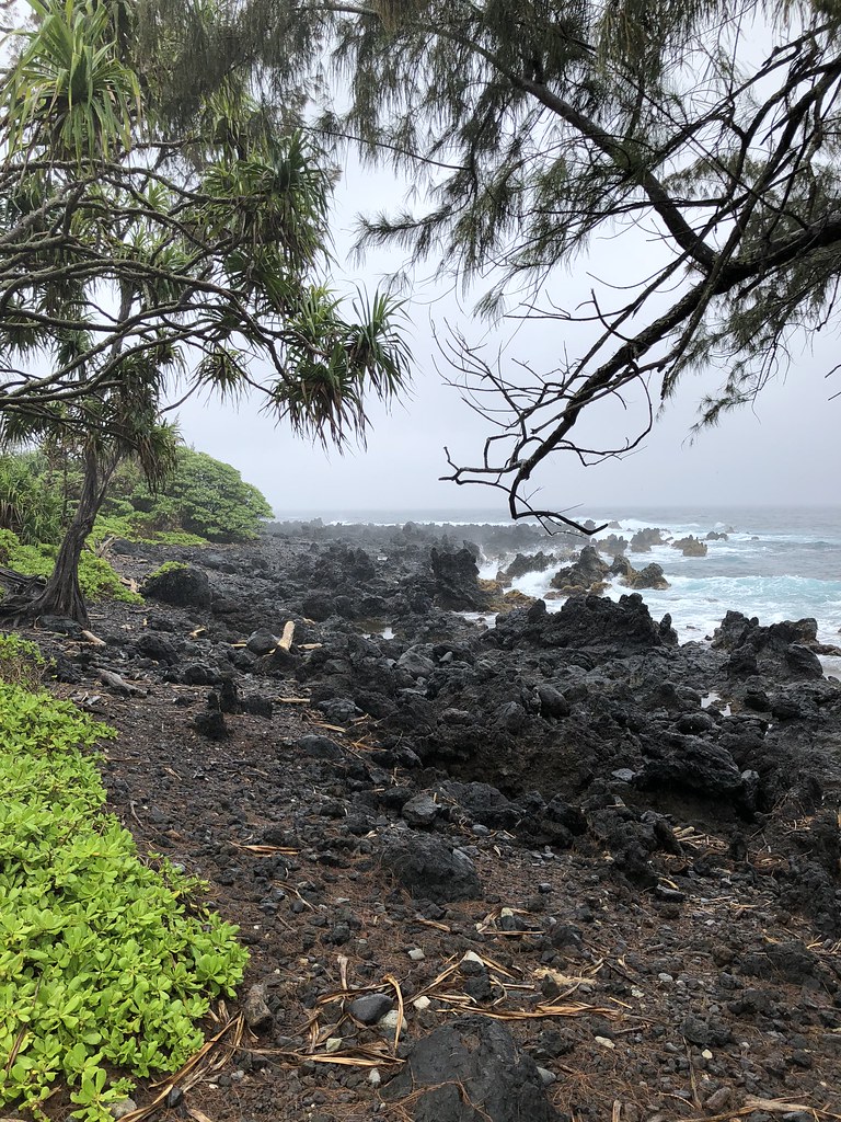 Green time, Maui, Hawaii, April’18 vlas.khilkevich Flickr