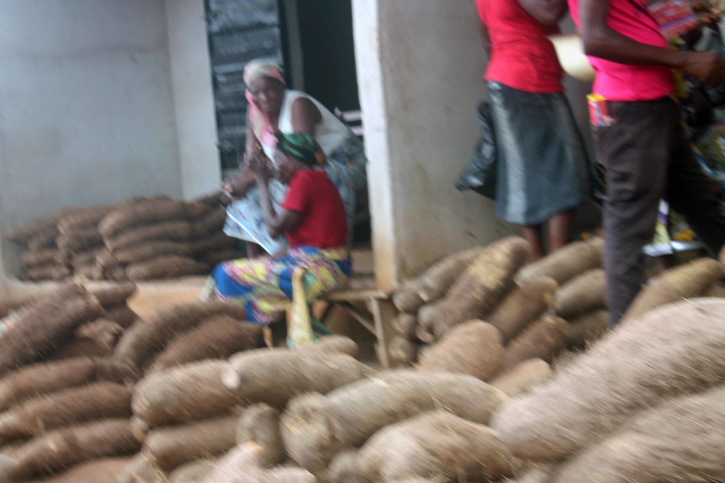African Yams African Yams Ida Market Yala Cross River Stat… Flickr