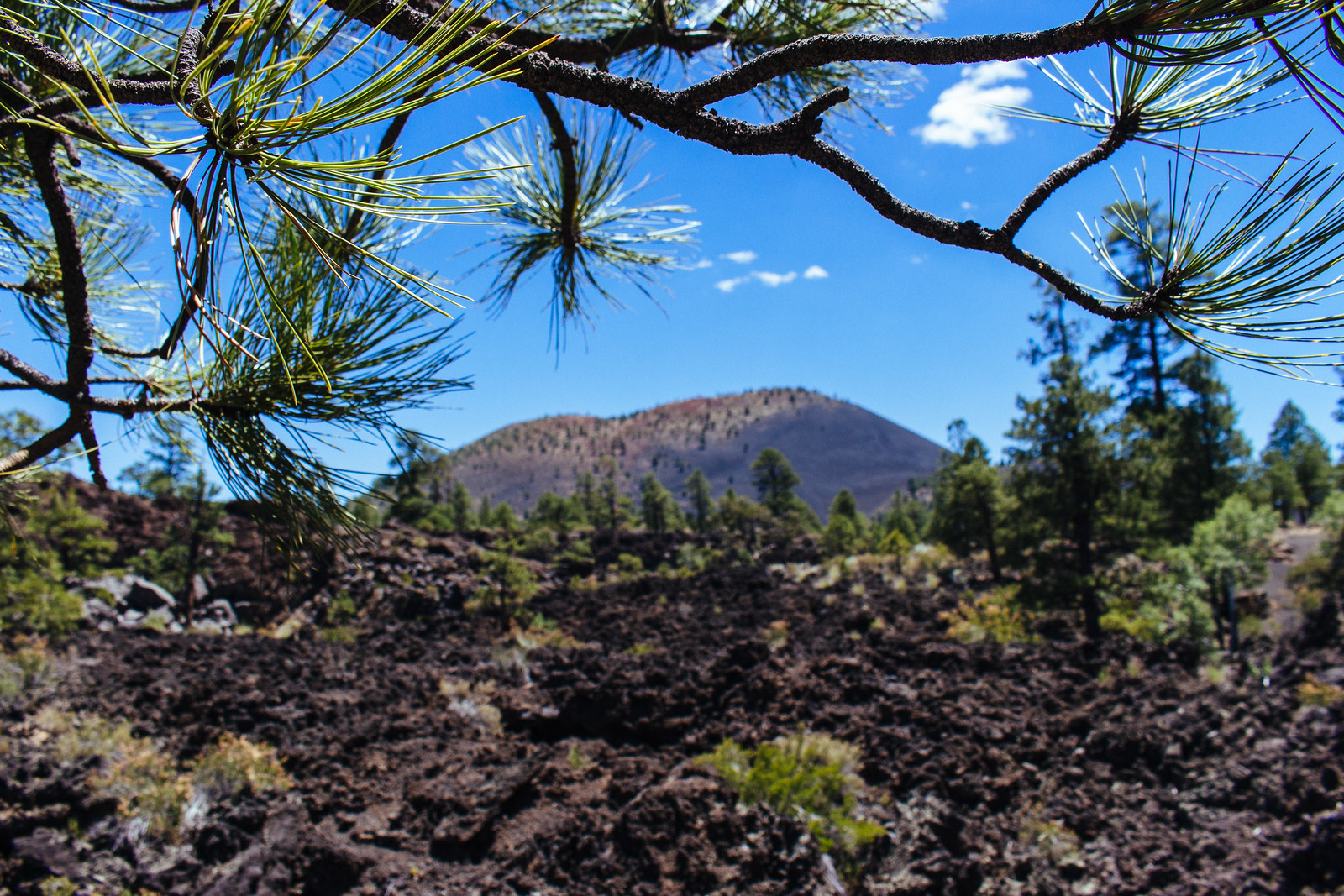 Photo Post Sunset Crater Volcano National Monument in Flagstaff, Arizona