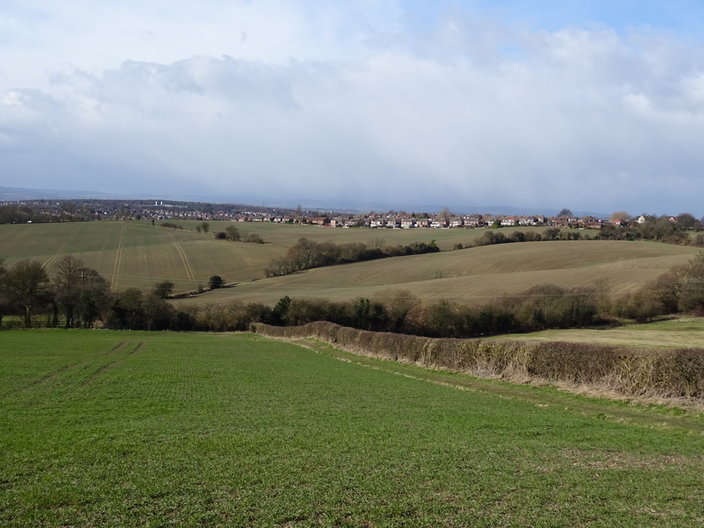 DSC00565 Listerdale, Rotherham 1 Mar 2015 andrew fawdry Flickr