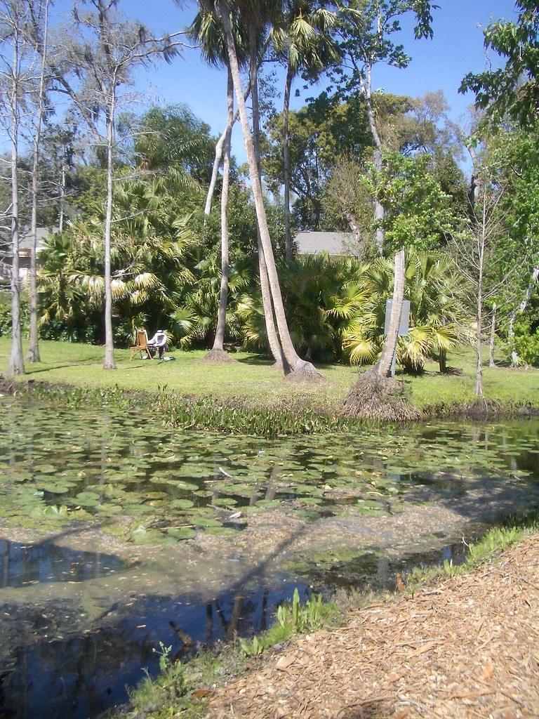 meadgardens2 Pictures from Mead Gardens in Orlando, Florid… bowdenartist Flickr